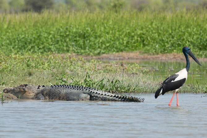 Corroboree Billabong 2.5 Hour Lunch Cruise - Sum Up