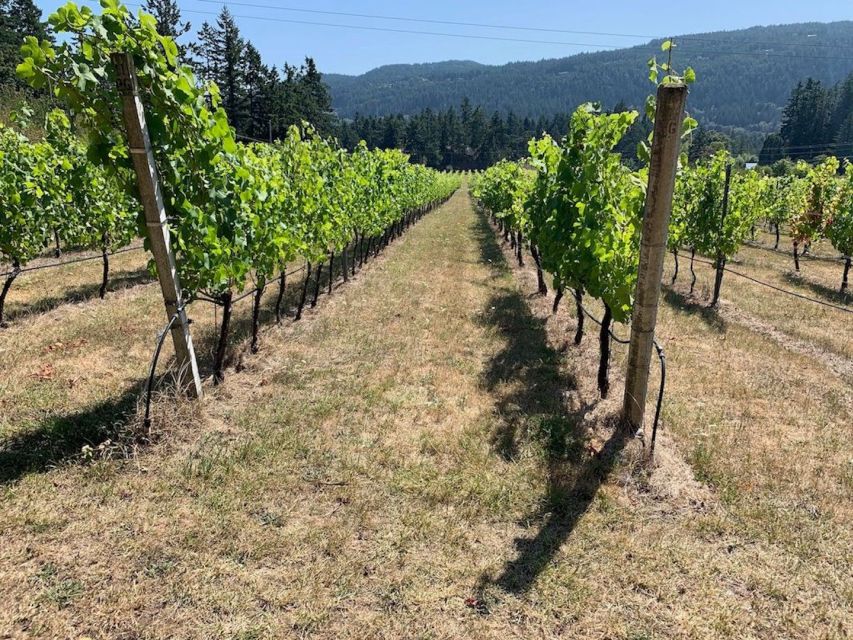 Cowichan Valley Premium Wine Tour - Sum Up