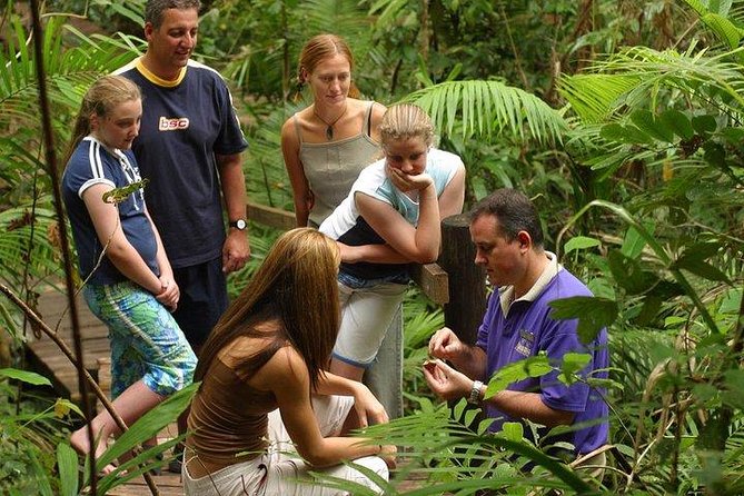 Daintree Discovery Centre Family Pass Ticket - Common questions
