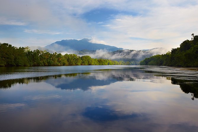 Daintree River Dawn Cruise With the Daintree Boatman - Booking Tips