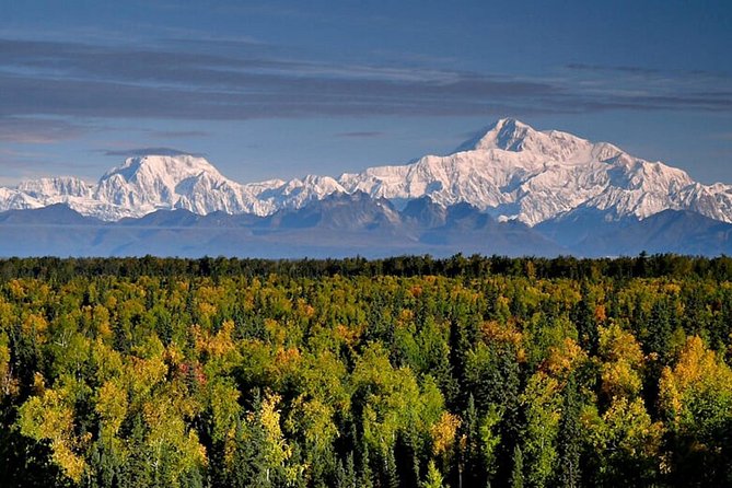 Denali Zipline Tour in Talkeetna, AK - Sum Up