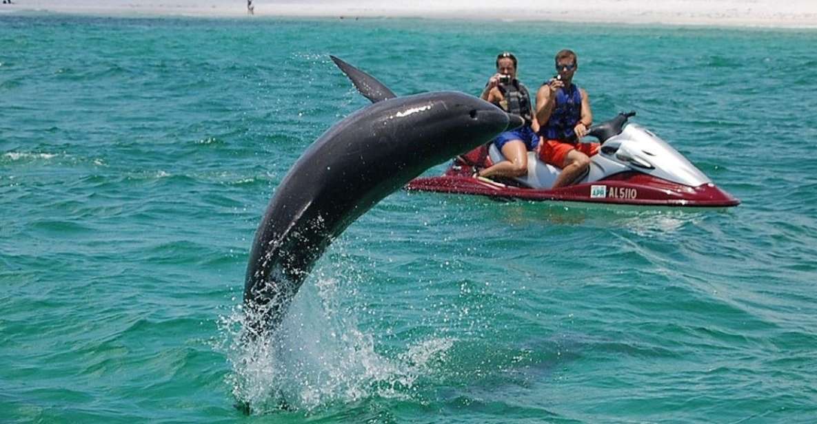 Destin: Crab Island Dolphin Watching Jet Ski Tour - Activity Inclusions