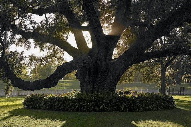 Destrehan Plantation Tour - Common questions