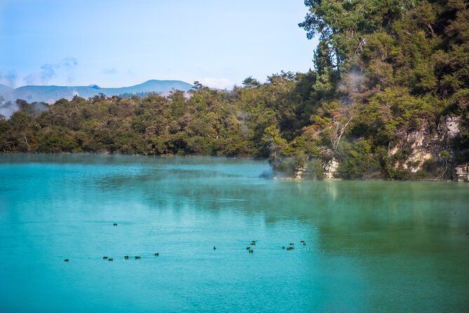 Devils Bath Experience - Private Tour to Wai-O-Tapu & Lake Taupo - Safety Guidelines