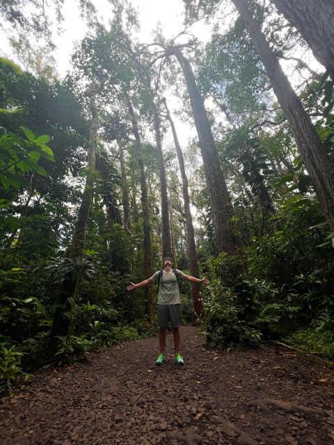 Diamond Head Manoa Falls - Sum Up