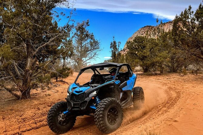 Dianas Throne UTV Adventure Near Zion National Park - Reviews and Ratings