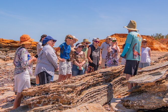 Dinosaur Footprints and Wildlife Cruise, With Waterfront Meal  - Broome - Criticisms and Recommendations