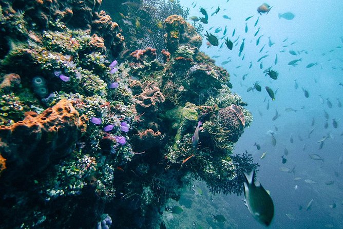 Dive at Tulamben Bali USS Liberty Ship Wreck - Sum Up