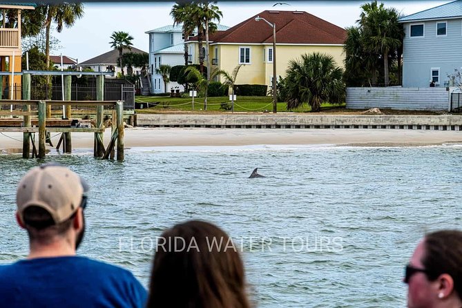 Dolphin and Wildlife Adventure of St. Augustine - Community Impact and Reviews