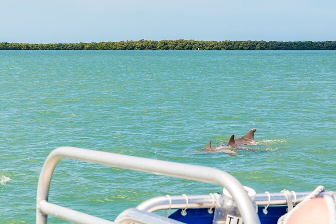 Dolphin Boat Tour in Clearwater Beach With Free Ice Cream - Sum Up