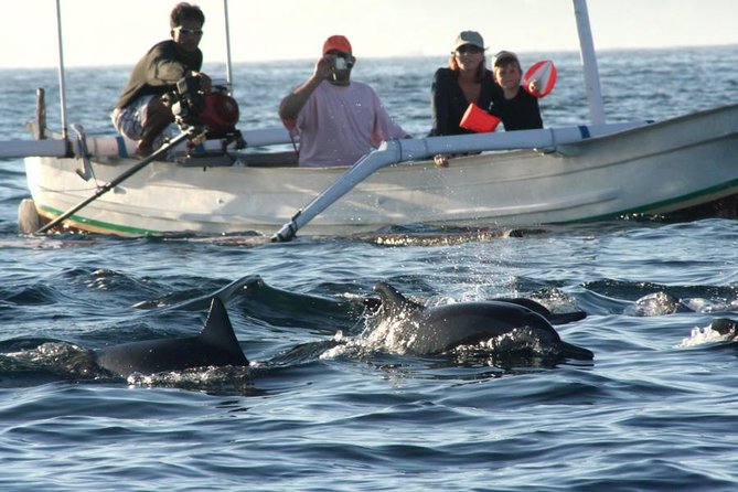 Dolphin Tour and Sunrise Watching in Lovina Beach - All Inclusive - Lovina Dolphin Adventure Highlights