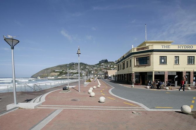Dunedin City and Coastal Views 3-Hour Small-Group Guided Tour - Common questions