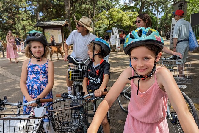 E-Bike Nara Highlights - Todaiji, Knives, Deer, Shrine, and Gems - Sum Up