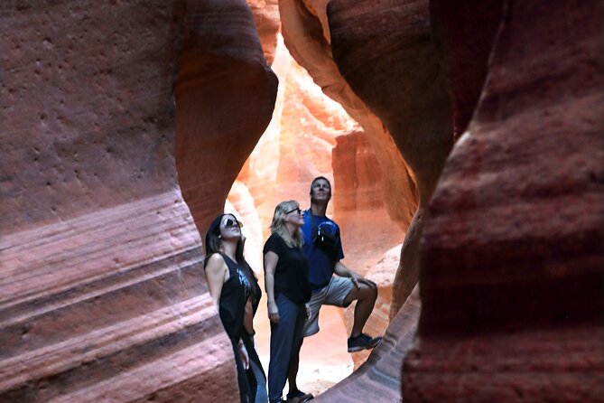 East Zion Crimson Canyon Hike & UTV Adventure - Unique UTV Experience