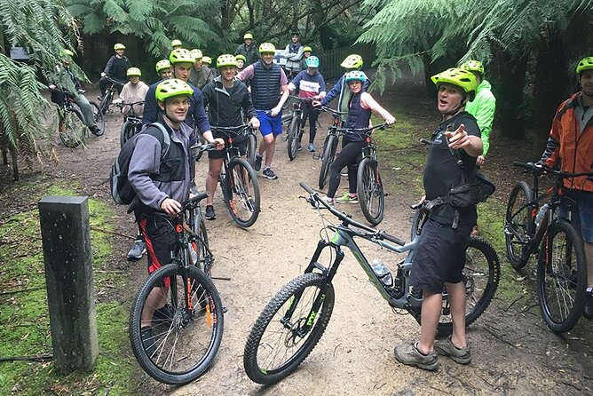 Easy Bike Tour - Mt Wellington Summit Descent & Rainforest Ride - Key Points