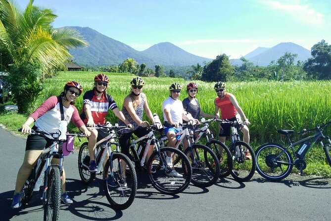 Electric Bicycle Tour in Jatiluwih UNESCO Site