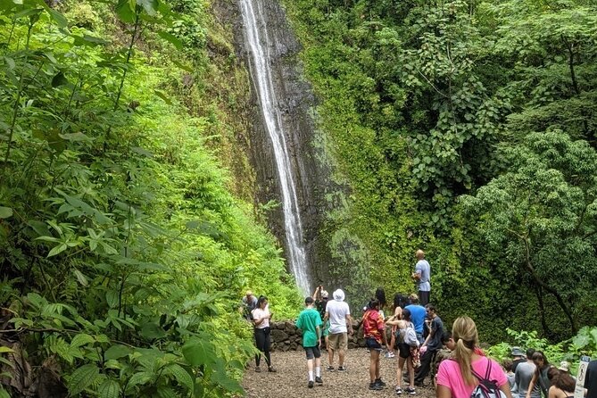 Electric Bike Ride & Manoa Falls Hike Tour - Sum Up