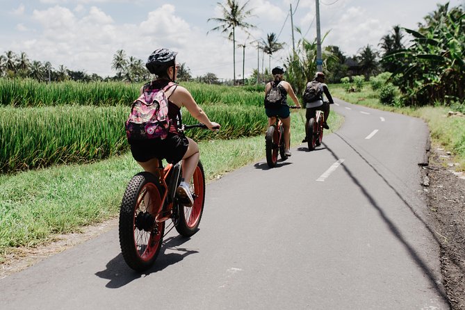Electric Bike Tour in Ubud - Directions