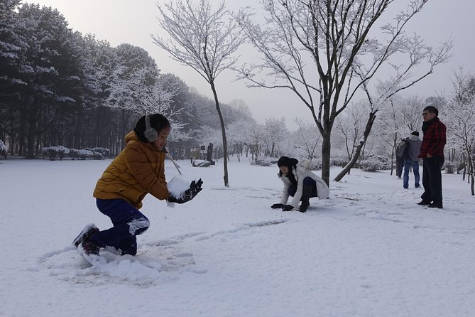 Elysian Gangchon Ski Resort With Nami Island Day Tour From Seoul - Traveler Reviews