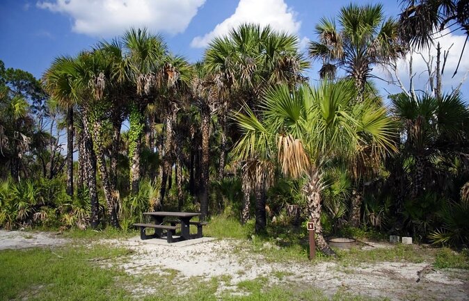 Everglades Airboat Nature Tour From Greater Fort Myers - Key Points