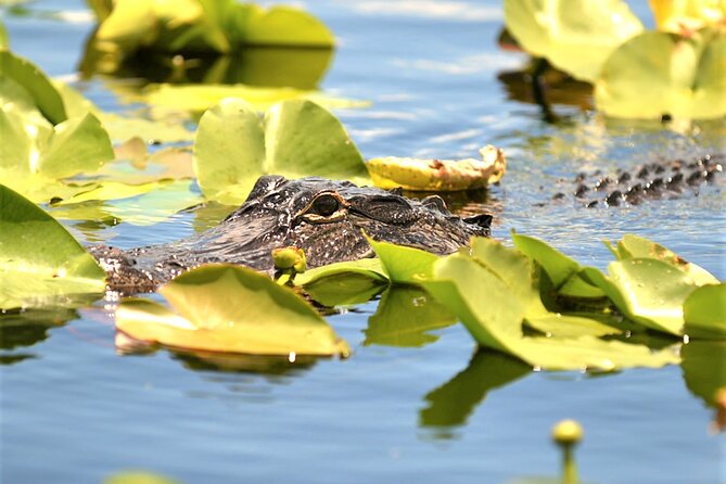 Everglades Airboat Tour in Fort Lauderdale - Location and Directions