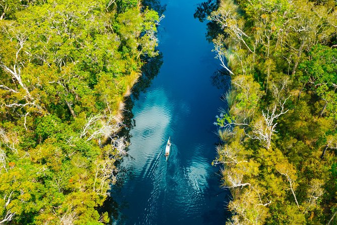 Everglades Explorer - Noosa Everglades Tour - Wildlife Spotting