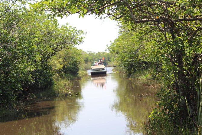 Everglades & Miami City Tour With Experienced Guide in Small Group - Additional Tips
