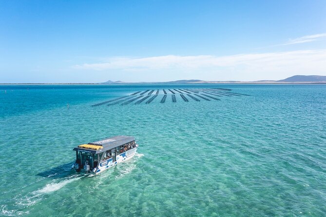 Experience Coffin Bay Oyster Farm and Bay Tour - Sum Up
