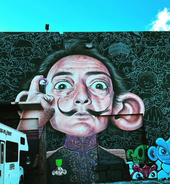 Explore in the Vibrant Art Scene of Wynwood Art Private Tour - Evolution of Wynwood