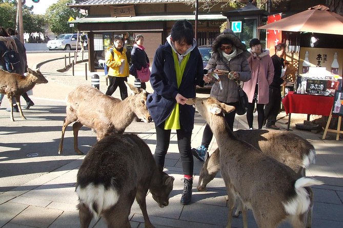 Exploring Nara - Viator Help Center Access