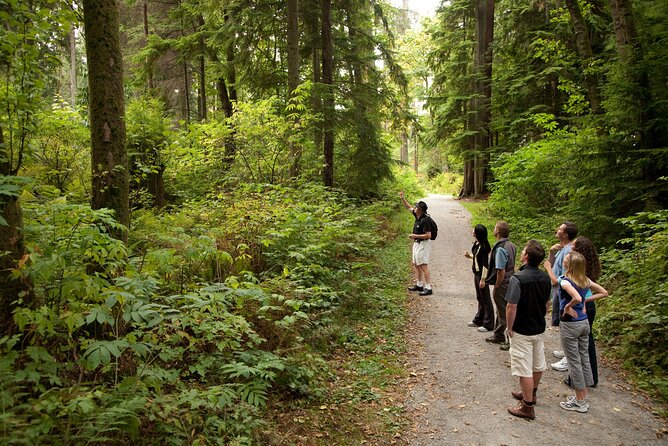 Exploring Vancouver: Includes Admission to Vancouver Lookout - Sum Up