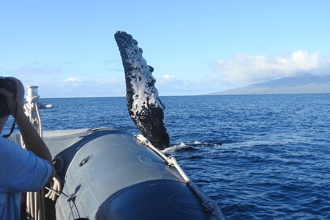 Eye-Level Whale Watching Eco-Raft Tour From Lahaina, Maui - Directions