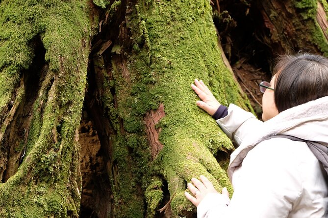 Forest Bathing in Temple and Enjoy Onsen With Healing Power - Embrace the Tranquility of Temple Grounds