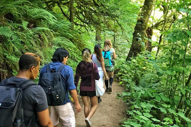 Forest Park Urban Hiking Tour, Portland - Safety Precautions and Guidelines