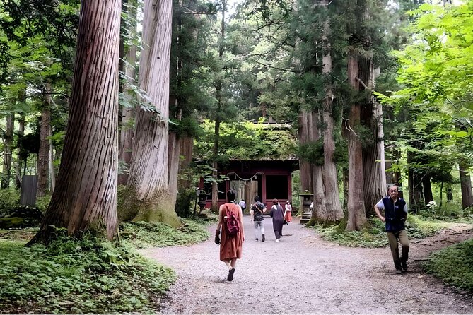 Forest Shrines of Togakushi, Nagano: Private Walking Tour - Sum Up