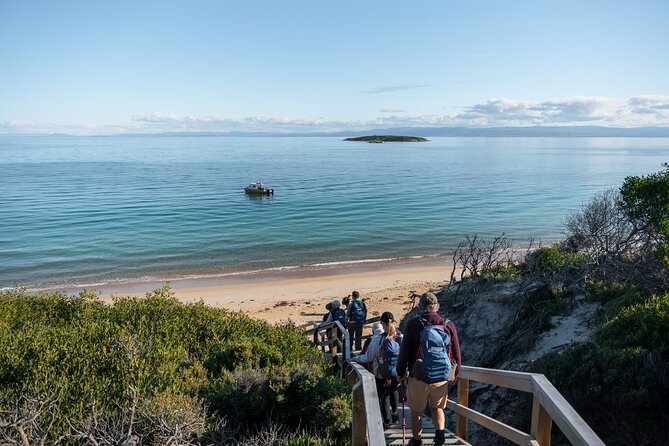 Freycinet National Park Walking Tour and Beach Picnic Lunch  - Coles Bay - Pricing and Booking Details