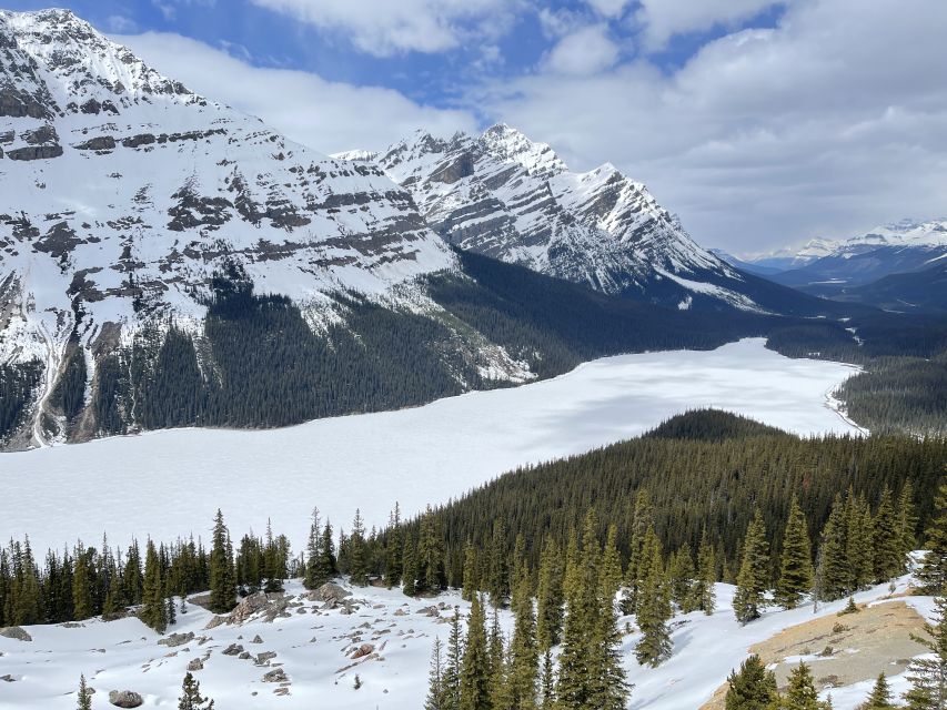 From Banff: Icefield Parkway Scenic Tour With Park Entry - Helpful Tips