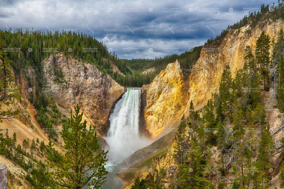 From Bozeman: Yellowstone Full-Day Tour With Entry Fee - Transportation and Tour Guides