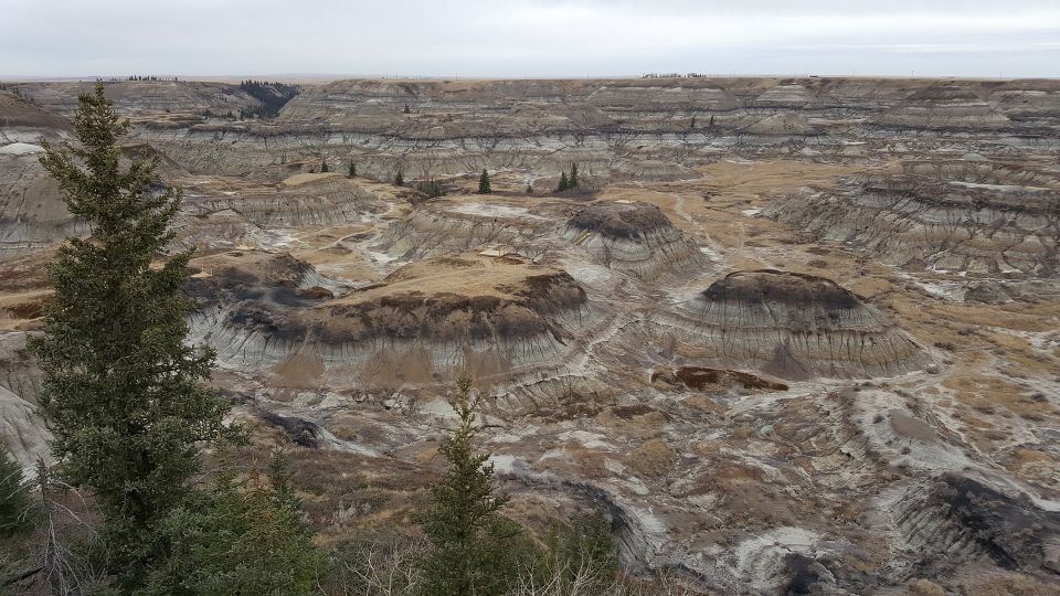 From Calgary: Canadian Badlands Private Geological Tour - Additional Information and Location