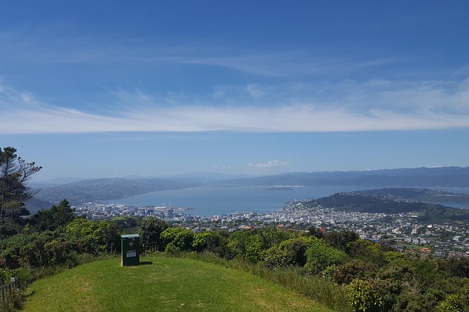 From Cave to Coast Wellington Highlights Tour - Overall Tour Impressions
