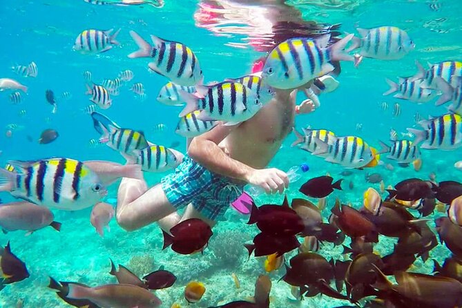 From Gili Trawangan & Gili Air Snorkeling Trip Sharing & Private - Common questions