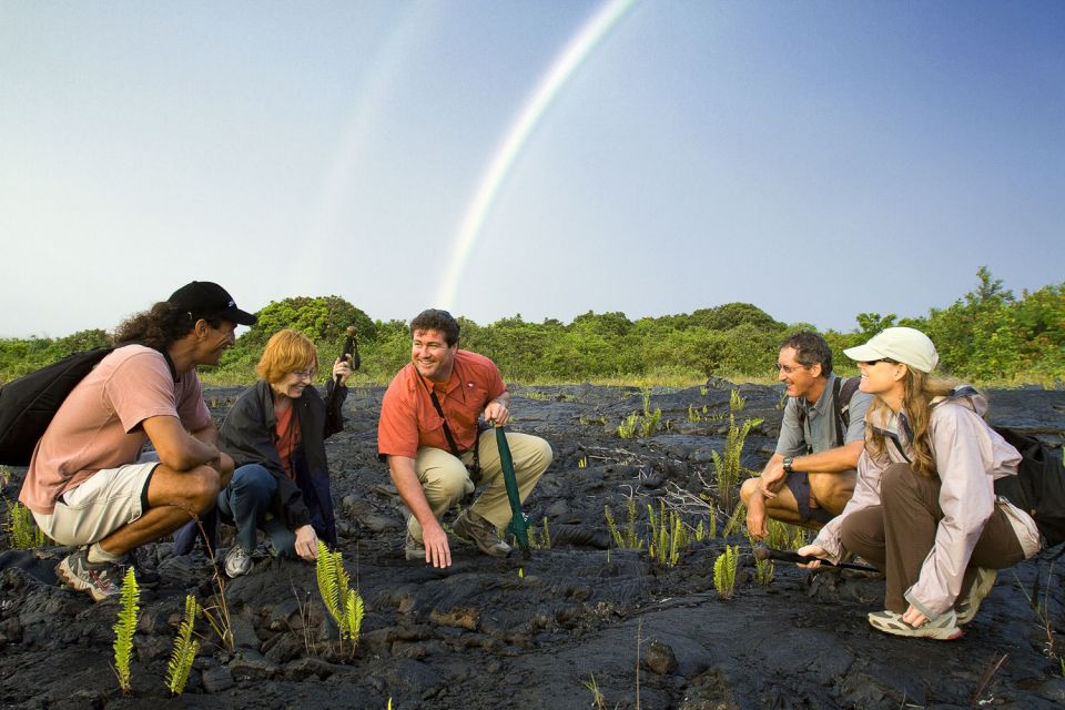 From Kona and Waikoloa: Kilauea Volcano Discovery Tour - Booking Information