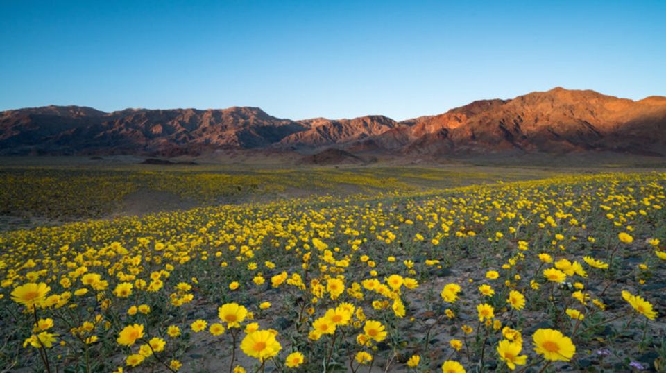 From Las Vegas: Full Day Death Valley Group Tour - Transportation and Tour Guide