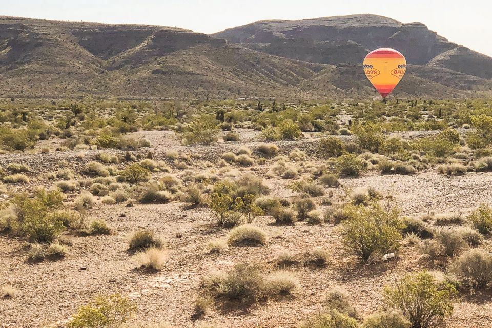 From Las Vegas: Mojave Desert Sunrise Hot Air Balloon Ride - Verified Feedback