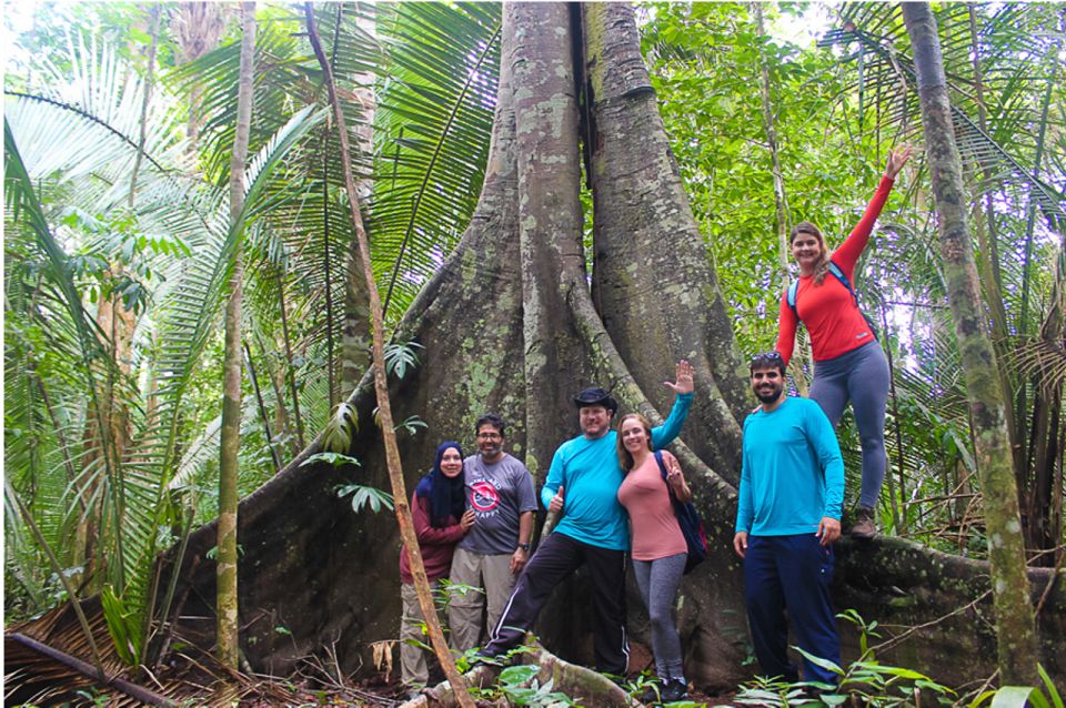 From Manaus: 3, 4 or 5-Day Tour at Tapiri Rio Negro Lodge - Customer Reviews and Testimonials