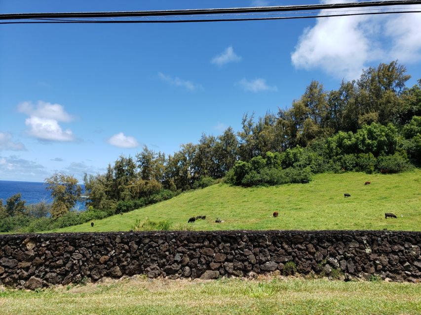 From Maui: Private Road to Hana Day Trip - Additional Information