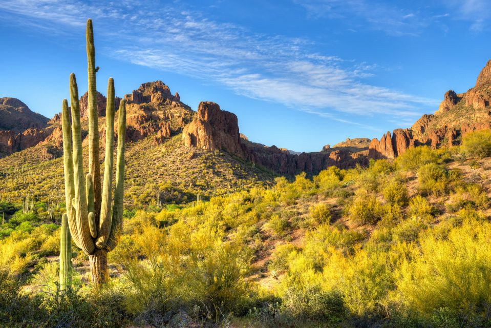 From Metro Phoenix: Sedona Day Trip - Key Points