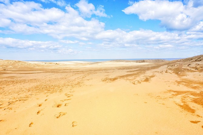 From Osaka: Tottori Sand Dunes Day Tour With English Guide - Sum Up