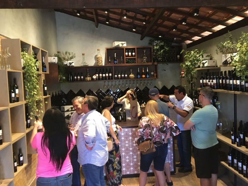 From São Paulo: São Roque Wineries Route and Shopping Tour - Recommendations and Customer Feedback