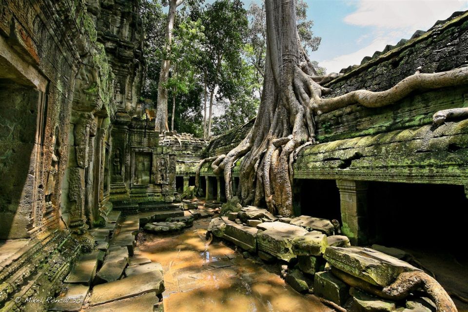 From Siem Reap: Angkor Wat Sunrise Small Group Tour - Hotel Pick-up and Drop-off